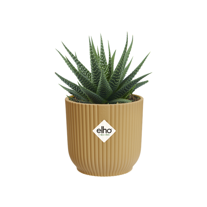 vibes fold round mini 9cm butter yellow